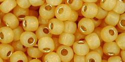 Toho Round Seed Beads 6/0 Silver Lined Goldenrod 2.5-inch tube (2110)