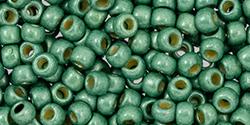 Toho 8/0 Round Japanese Seed Bead, TR8-589FPF, Matte Spruce Galv PermaFinish